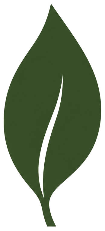 Cysta leaf logo